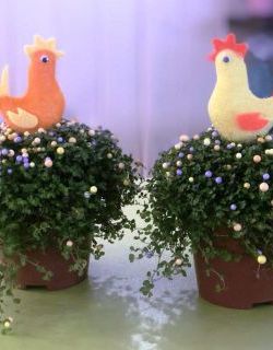 Пасхальный декор и букеты в наличии