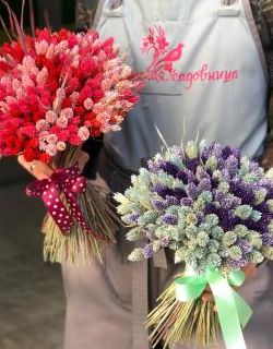 Букеты и композиции из сухоцветов 