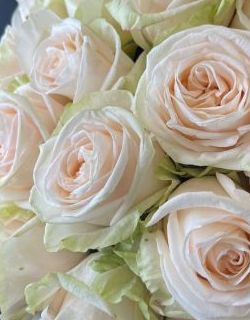 БУКЕТ НЕДЕЛИ: 25 роз от плантации Tessa (Эквадор)