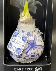 Луковицы амариллиса, покрытые воском с рисунком в стиле гжель