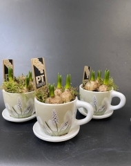 Мускари в керамической чашке. Аранжировка