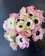 Анемон махровый в ассортименте