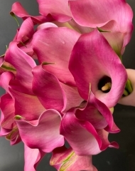 Калла в ассортименте