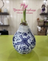 Луковицы амариллиса, покрытые воском с рисунком в стиле гжель