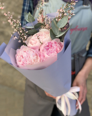 Букет с пионами Сара Бернар, генистой и эвкалиптом