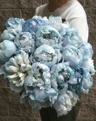 Пион Клуди Скай