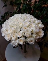 Букет из белых или красных роз (69 роз)