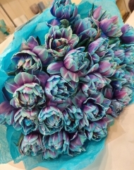 Букет тюльпанов Баббл Даббл (31 тюльпан)