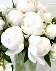 Пион Клод Тейн