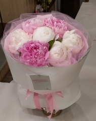 Монобукет пионов (7 шт)