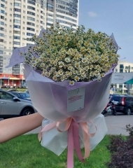 Монобукет ромашек