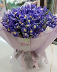 Букет ирисов (51 шт)