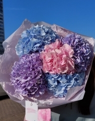 Монобукет гортензии