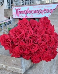 Монобукет французских роз 90 см (35 шт) 