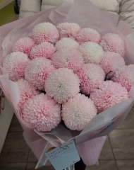 Монобукет из 19 хризантем Бейби пинк