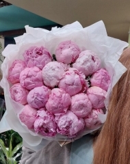 Монобукет из 17 пионов Сара Бернар