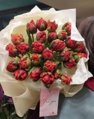 Букет тюльпанов Ред принцесс