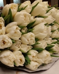 Тюльпан Касабланка пионовидный 