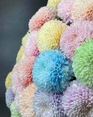 Хризантема Супербоул Пастель Микс