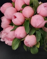 Пион Сальмон Этчед