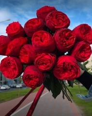 Букет из 15 роз РЕД ПИАНО с лентой