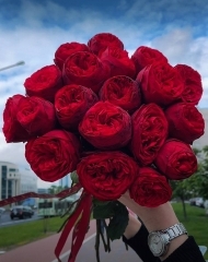 Букет из 19 роз РЕД ПИАНО с лентой