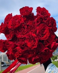 Букет из 25 роз ХЁРСТ с лентой