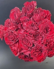 Букет из 15 роз ХЁРТС с лентой