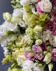 Эустома Алиса Пинк