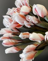 Ирис Брауни (крашенный)