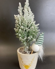 Хамакипарис Элвуди заснеженный (h33/d9)