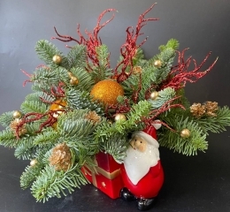 Композиция в керамическом кашпо из живых веточек нобилиса с праздничным декором