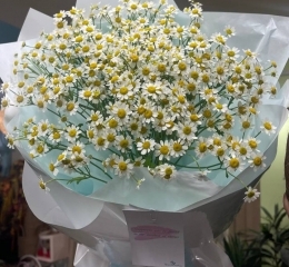 Монобукет из ромашек (танацетума)