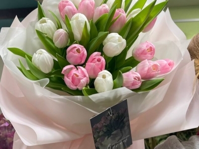 Букет из 21 классического тюльпана