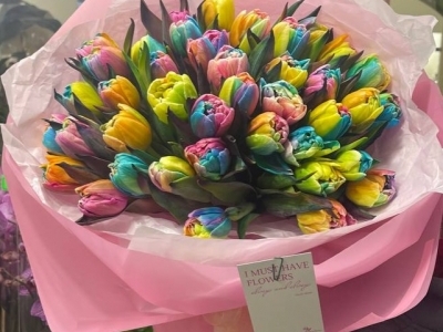 Букет из 41 радужного тюльпана