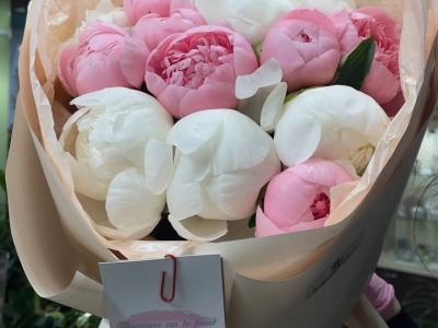 Микс из 15 пионов Сальмон этчед и Мадам Клод Тейн