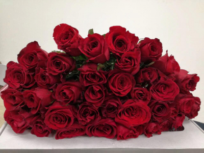 Роза Фридом