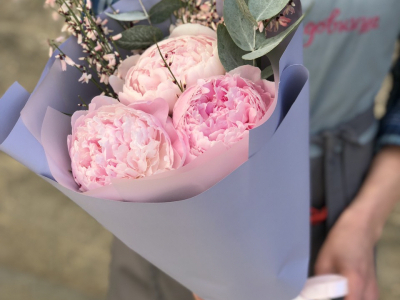 Букет с пионами Сара Бернар, генистой и эвкалиптом