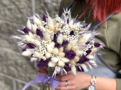 Букетик с лагуросом, фаларисом и иксодией