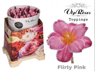 Тюльпан Flirty pink 