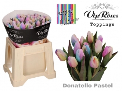 Тюльпан Donatello Pastel