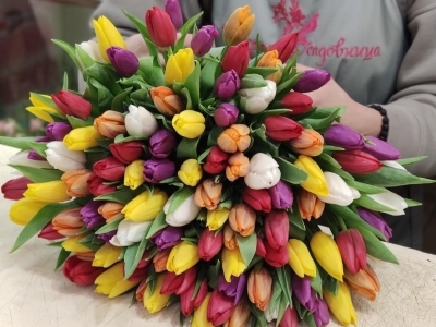 Букет из 101 тюльпана