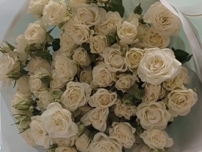 Монобукет из кустовой розы Сноуфлейк