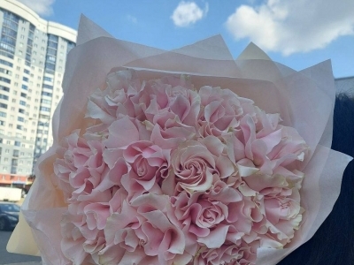 Монобукет французских роз (сорт любой на выбор)