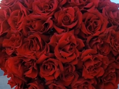 Монобукет из 31 французской розы Эксплойер, 70 см