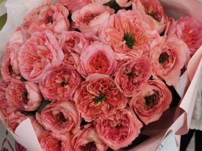 Монобукет из 25 розы Мандарин