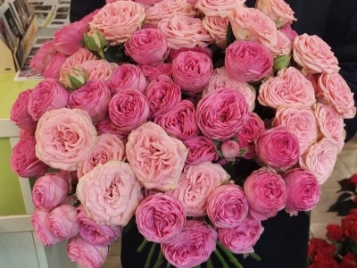 Букет из пионовидных роз Жизель и Мюрель