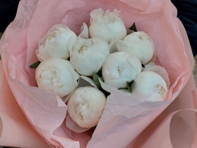 Монобукет из 9 пионов Дюшес