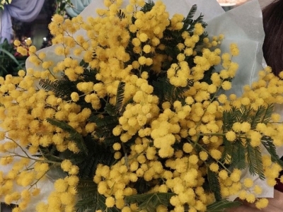 Монобукет из мимозы