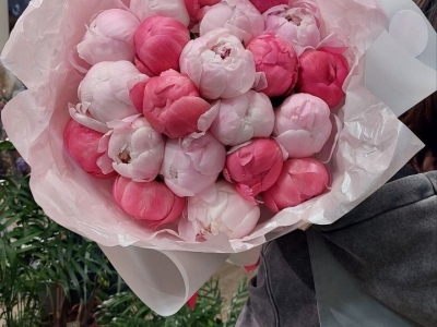 Букет микс из 21 пиона Сара Бернар и Коралл Шарм